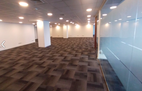 Gran Planta Libre En Excelente Estado En Santiago Centro